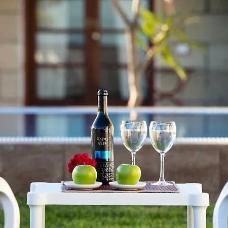 El Sitio De La Casa Casa de Campo Arico el Nuevo