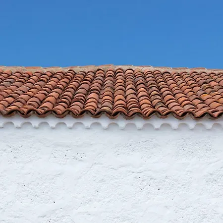 El Sitio De La Casa * Arico el Nuevo